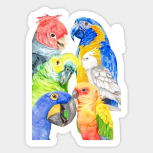 Several parrots in watercolor - rainbow - colored Sticker